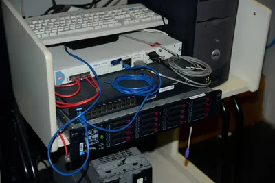 DSC_1321 (Large).JPG